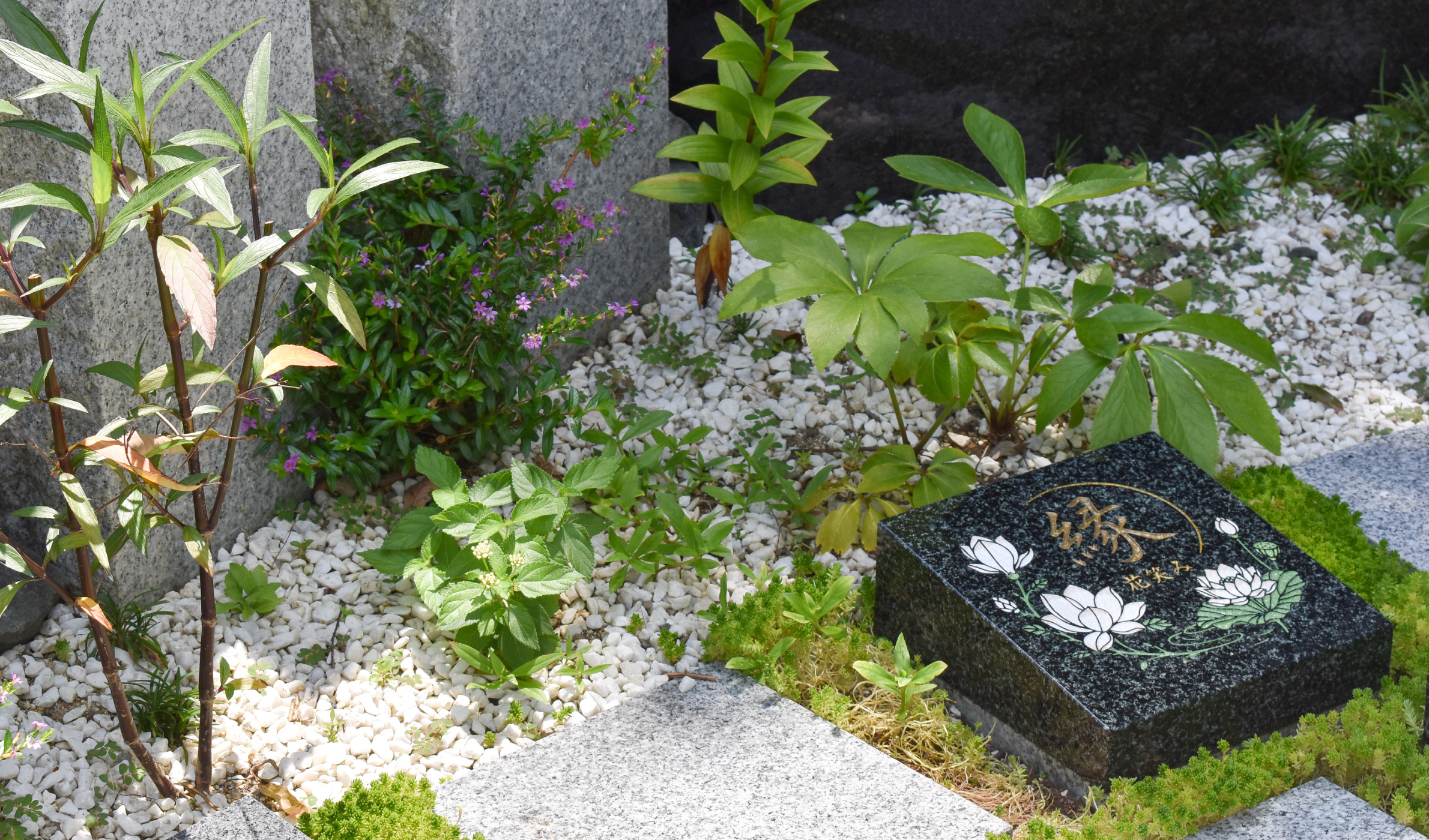 樹木葬の石板